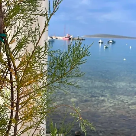 Apartment Theseatree Paros *