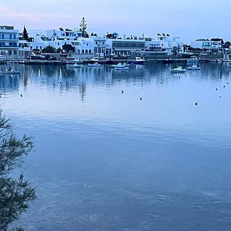 Theseatree Paros Alikí